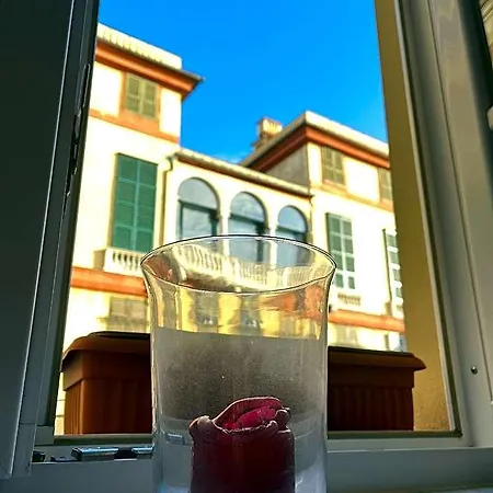 The 